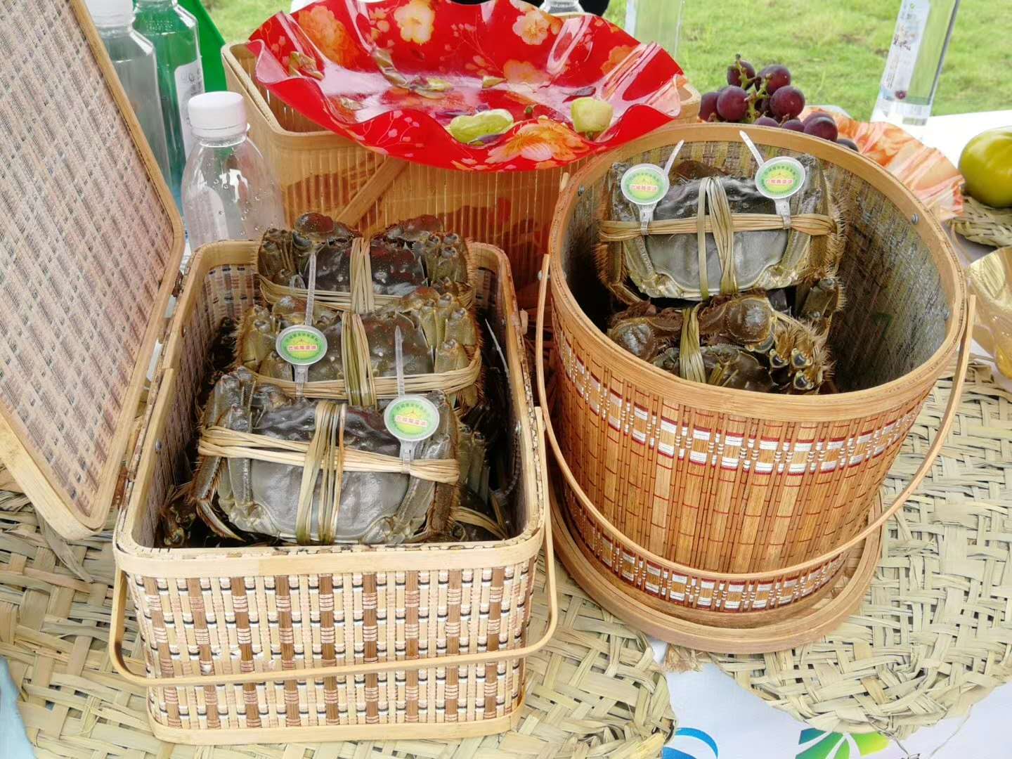 陽(yáng)澄湖螃蟹 陽(yáng)澄湖螃蟹