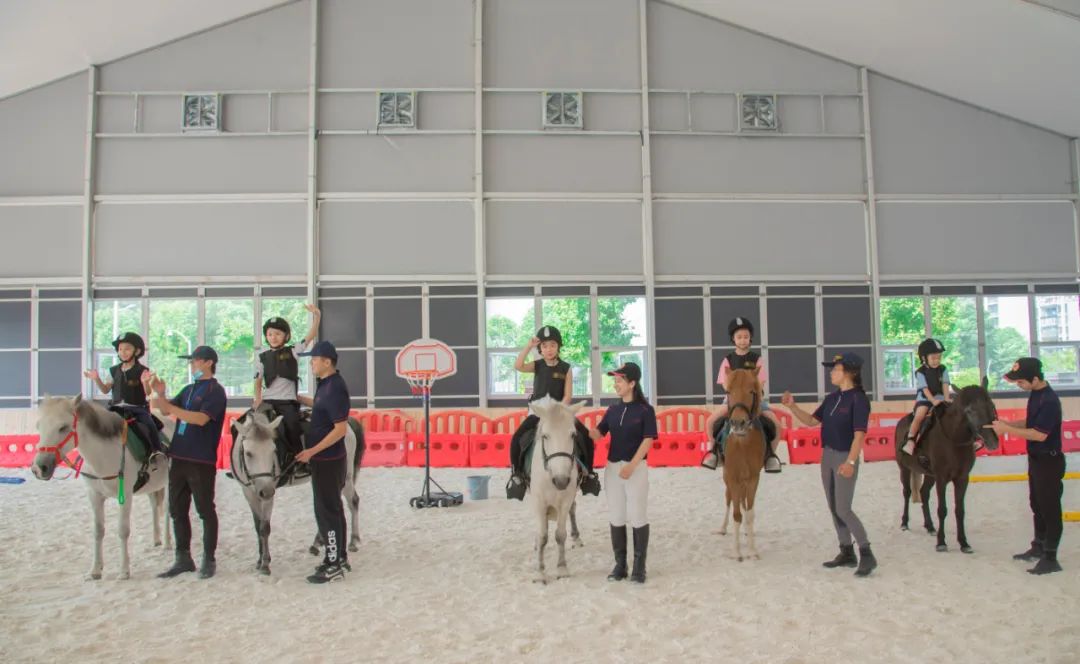 弧形馬術館篷房 弧形馬術館篷房
